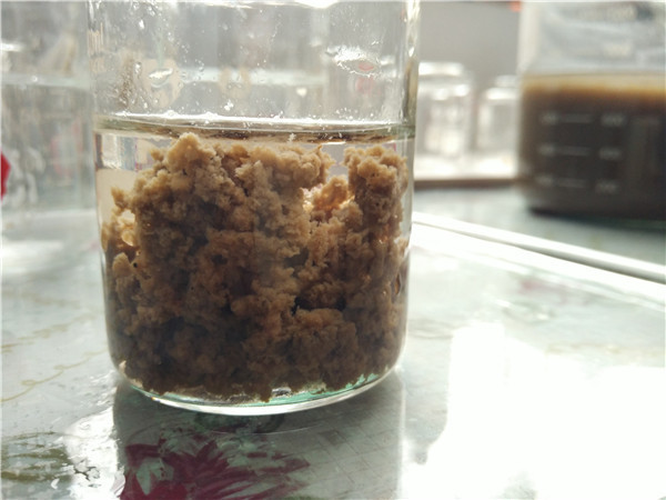 聚合氯化鋁對(duì)活性污泥的影響 聚合氯化鋁對(duì)活性污泥的影響